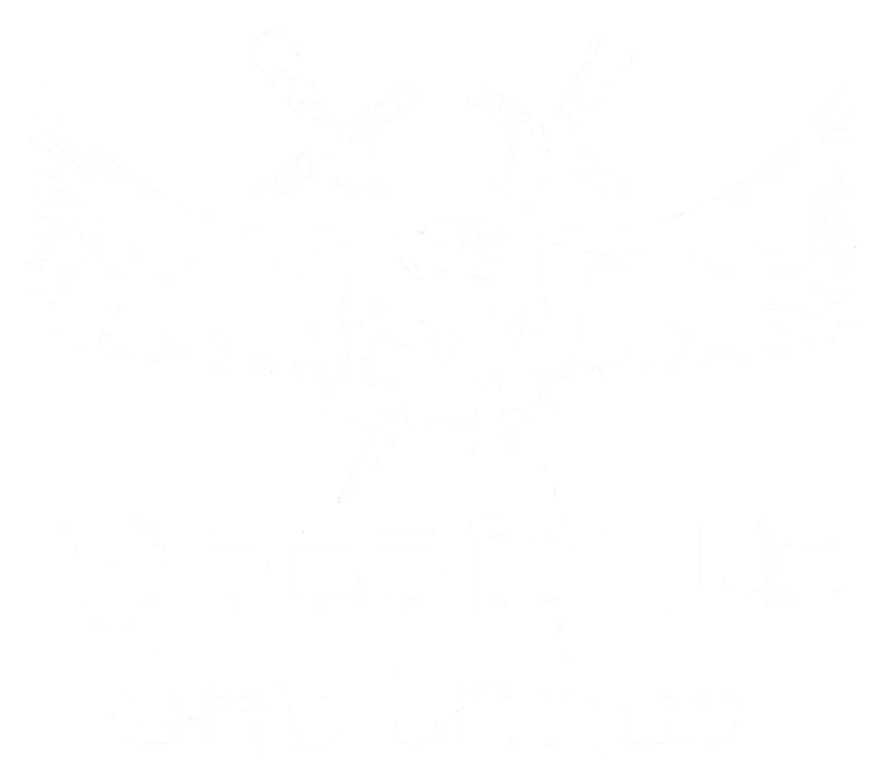 Abstract Skull and Wings Logo Design