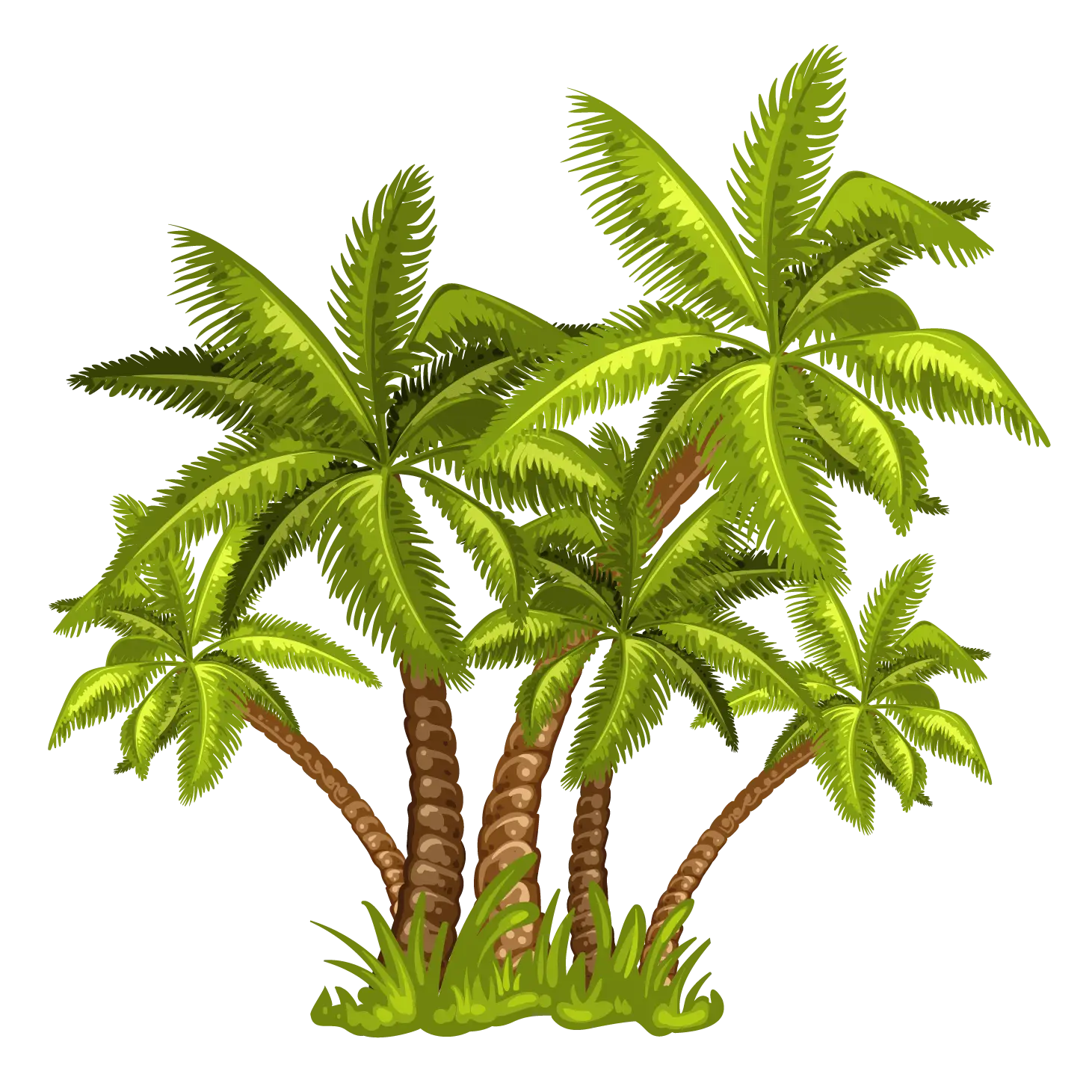 Tropical Green Palm Tree Illustration