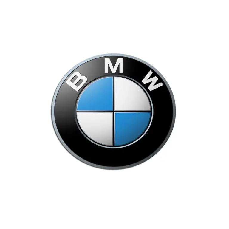 BMW Logo Design Emblem