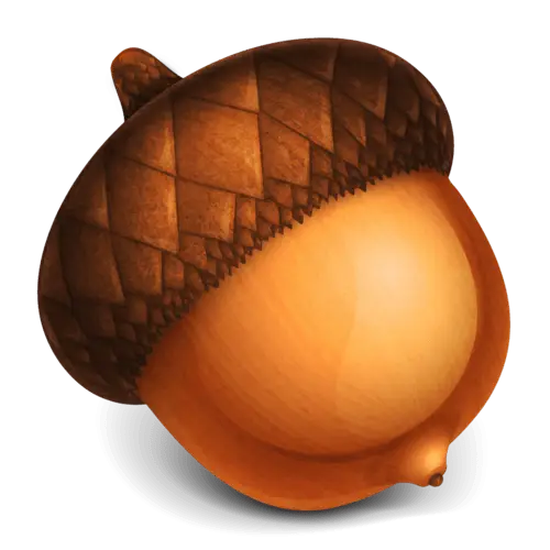 Realistic Acorn Nut