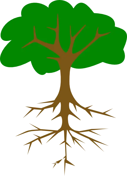 Tree Illustration with Visible Roots
