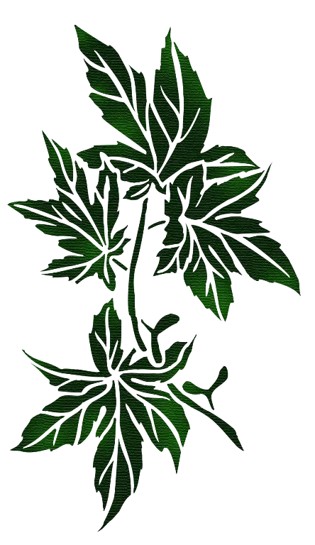 Green Leaves Illustration