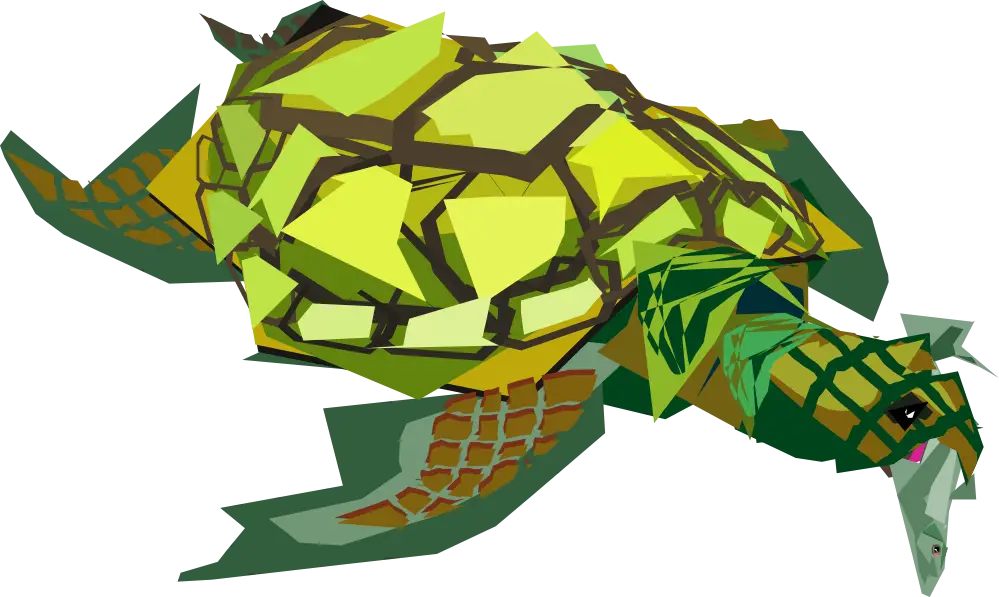 Polygonal Sea Turtle