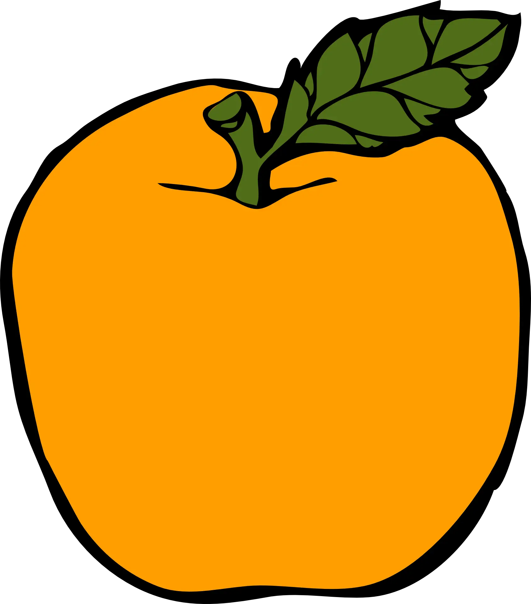 Hand-Drawn Orange Fruit Illustration with Leaves