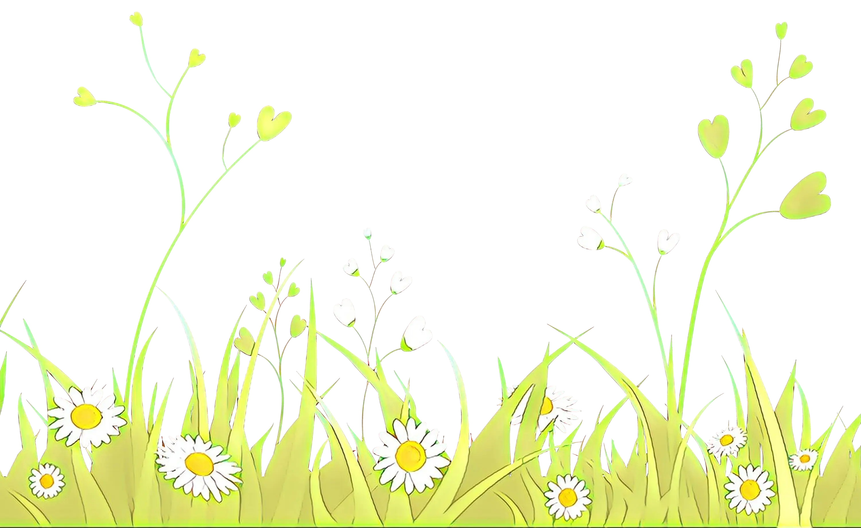 Spring Grass and Daisy Flower Illustration