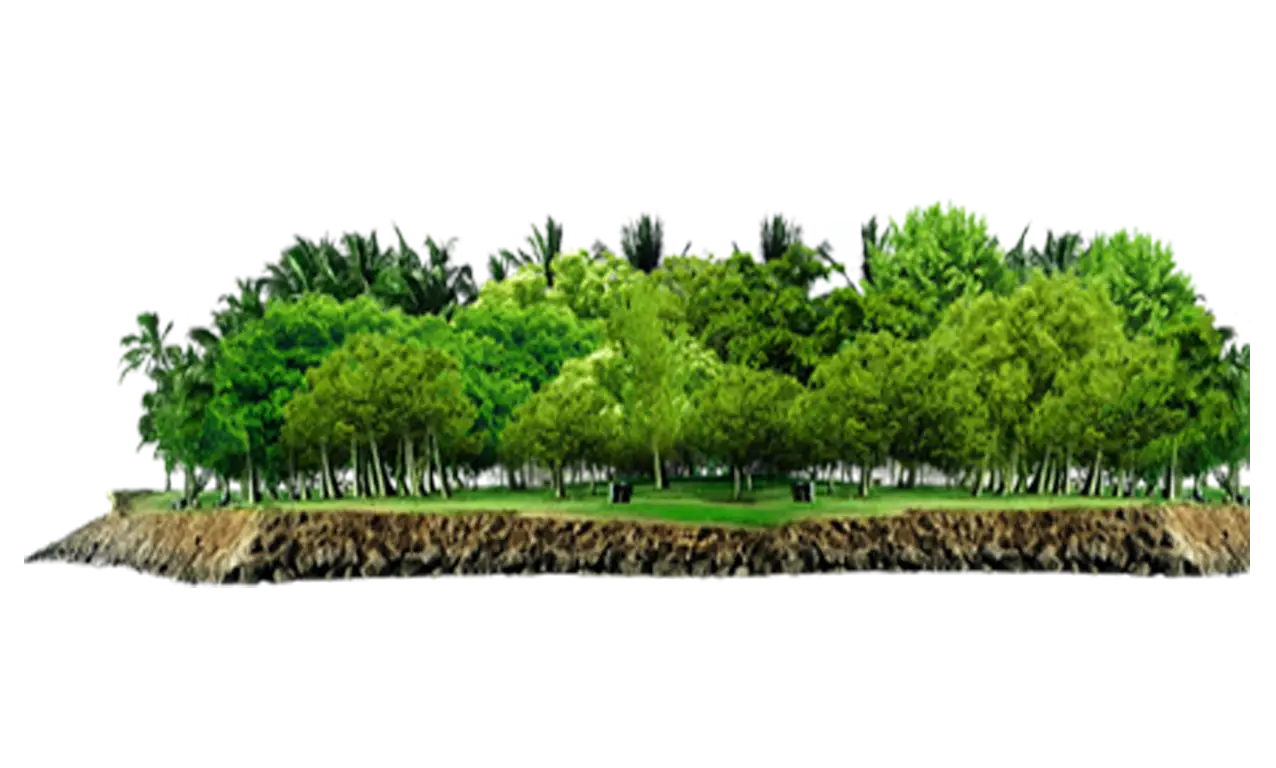 Green Island with Trees