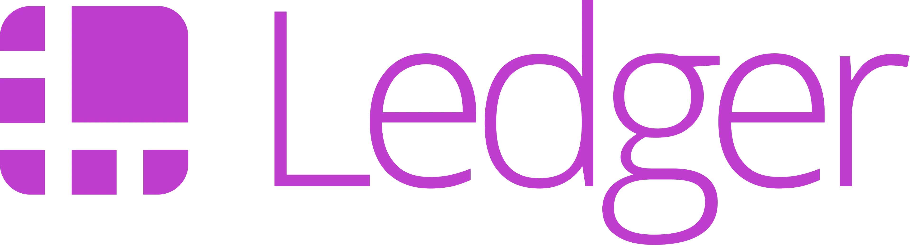Purple Ledger Logo for Technology Branding