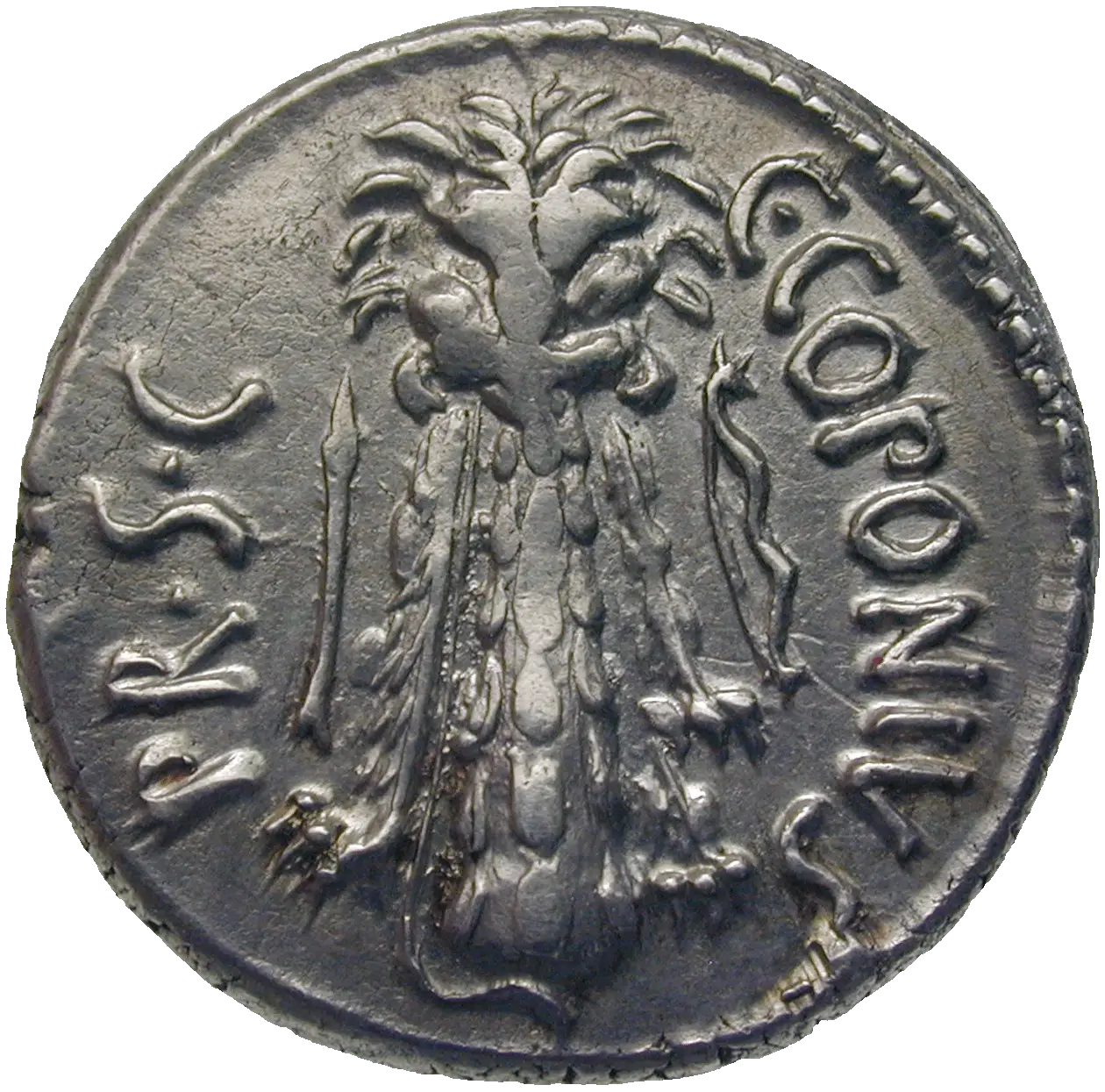 Ancient Roman Coin with Tree Design