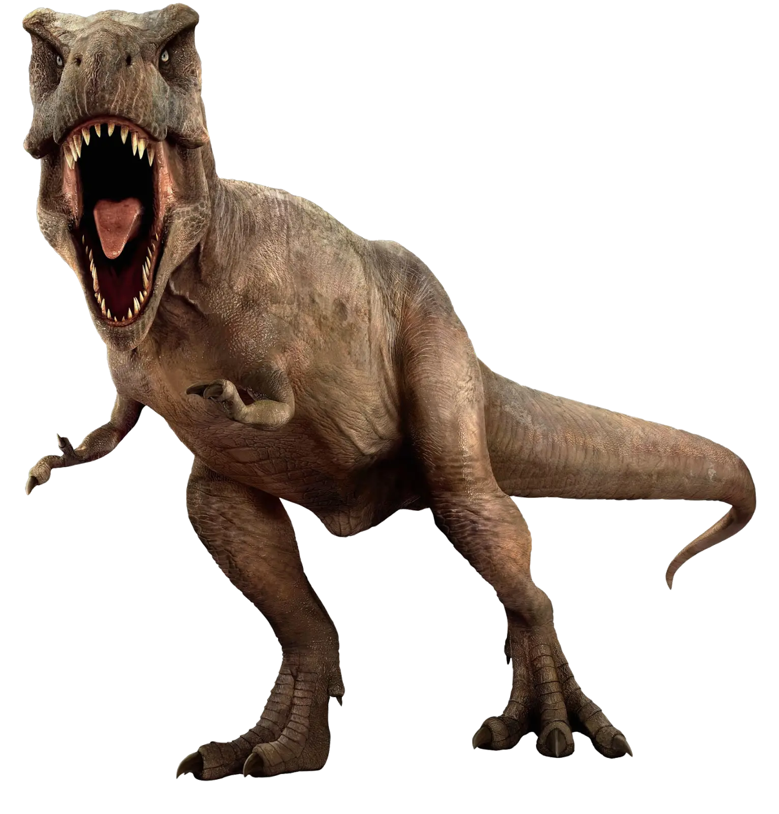 Ferocious Tyrannosaurus Rex Roaring