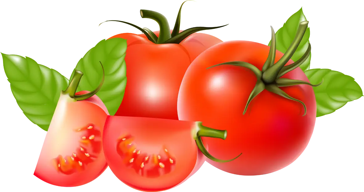 Fresh Red Tomatoes with Green Leaves