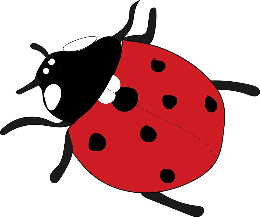 Adorable Cartoon Ladybug Illustration