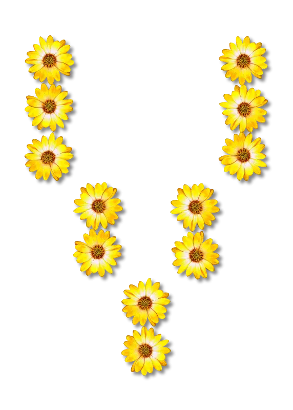 Yellow Flowers Arranged in a V Shape