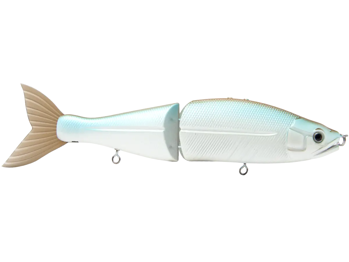 Fish Shaped Lure for Sport Fishing