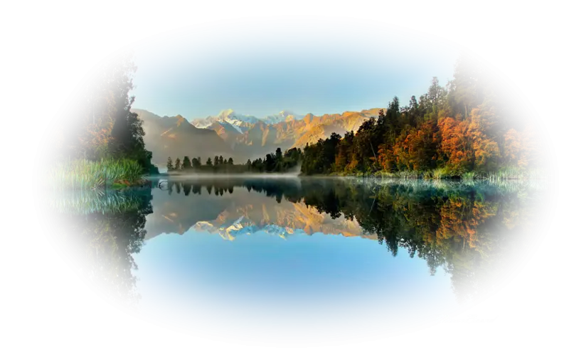 Serene Landscape with Trees and Reflection