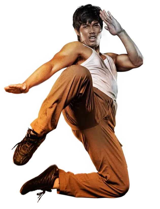 Martial Artist in Action