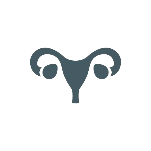 Medical Uterus Icon