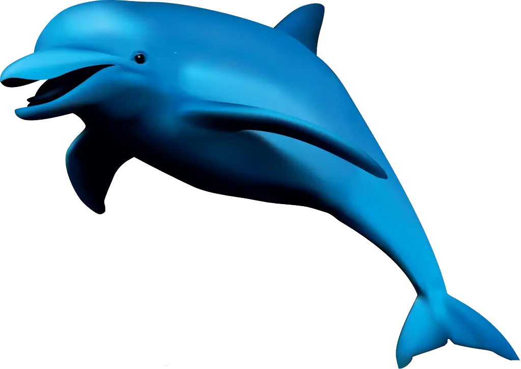 Blue Dolphin Illustration with Detail