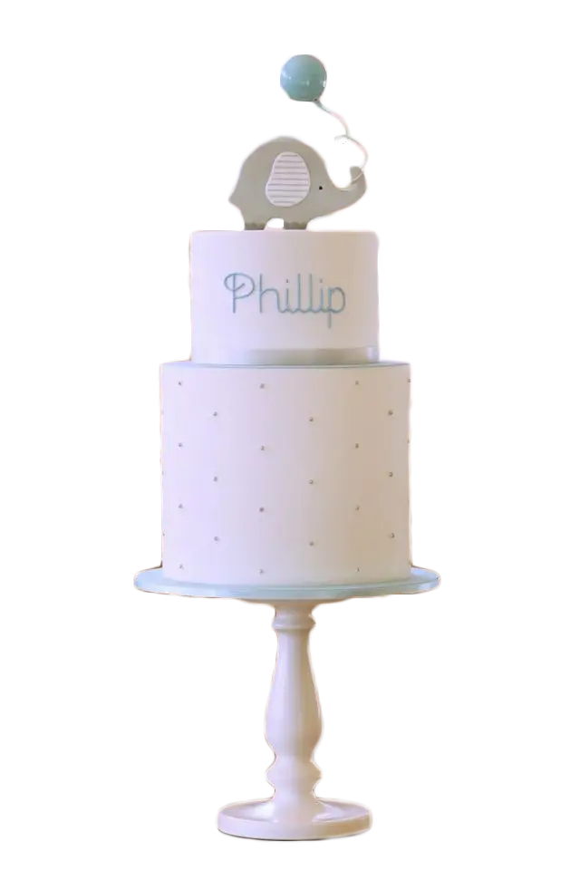 Cute Elephant Cake