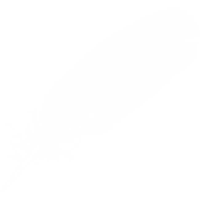 Minimalistic White Feather Illustration