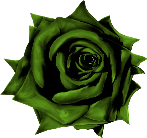 Beautiful Green Rose Illustration