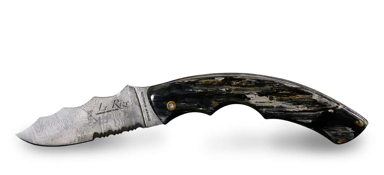 Small Folding Hunting Knife