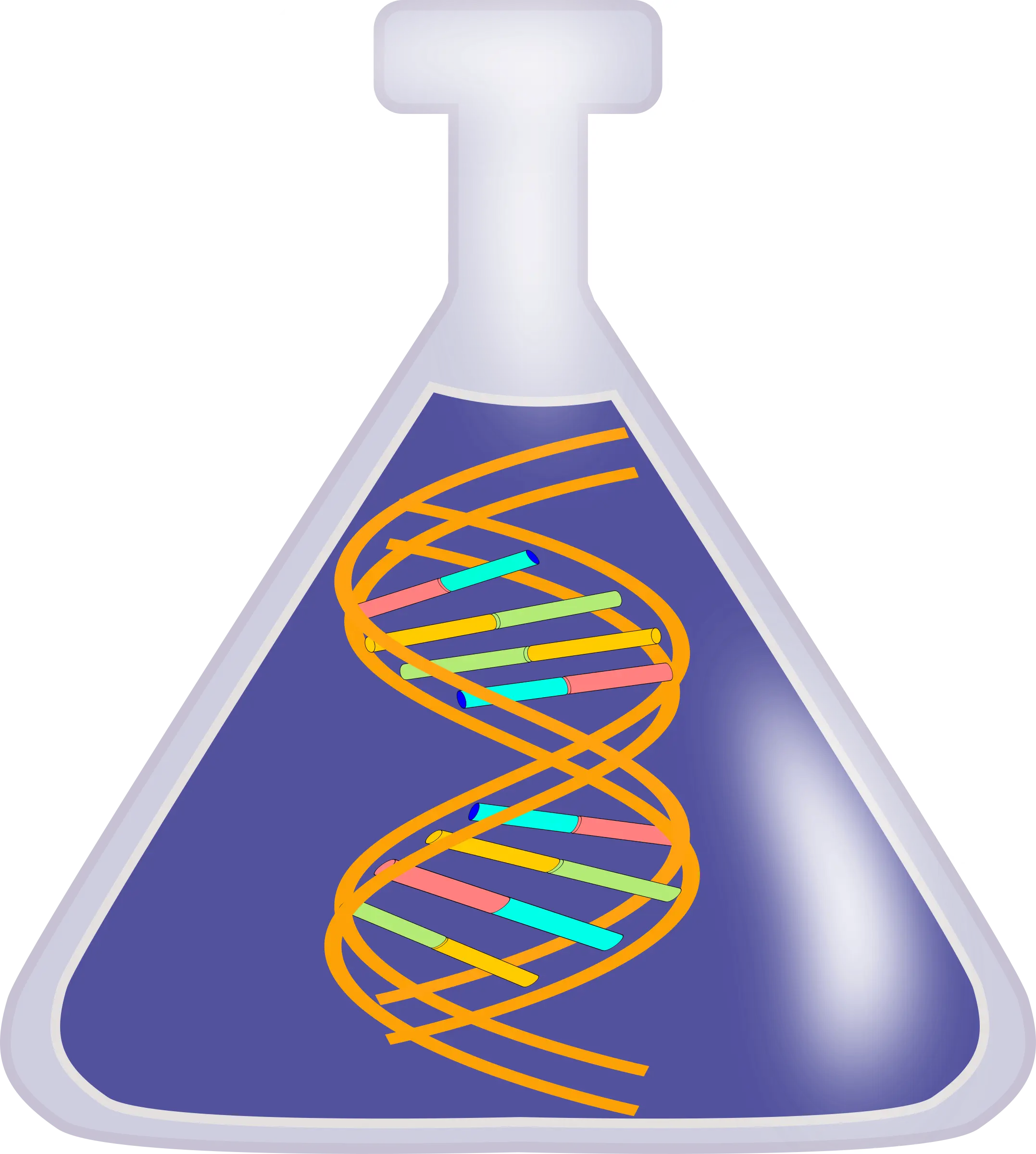 DNA in Flask