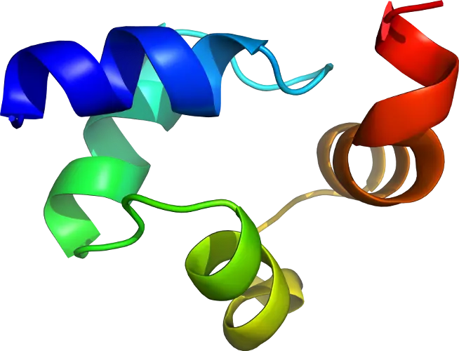 3D Protein Structure Illustration