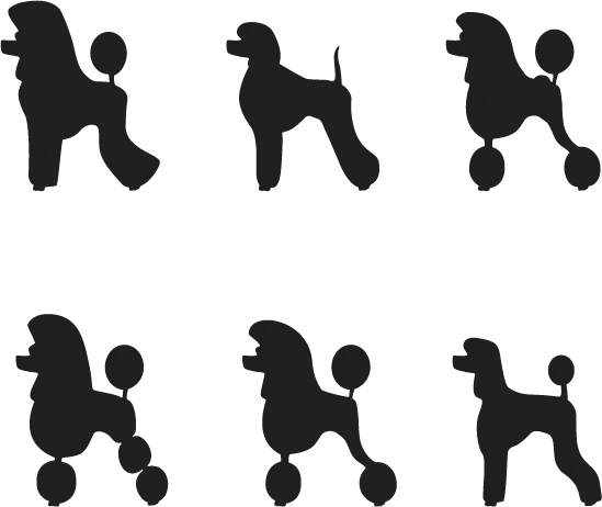 Poodle Silhouettes in Different Poses