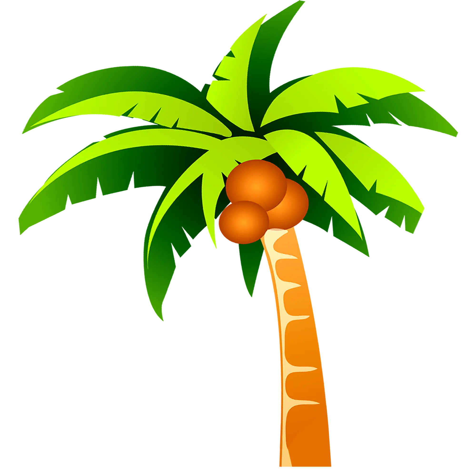 Cartoon Tropical Coconut Palm Tree Illustration