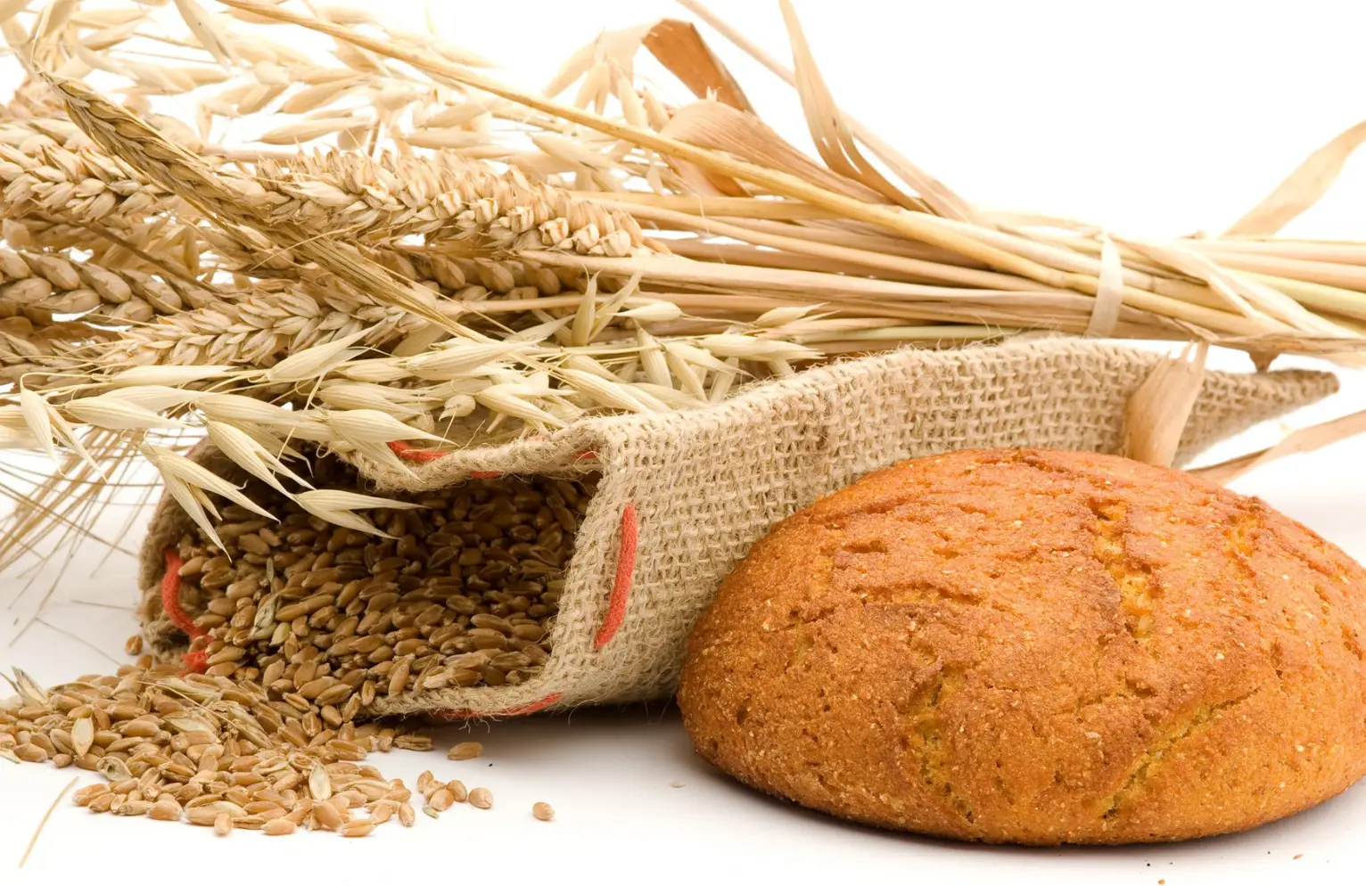 Wheat, Grain, and Fresh Bread