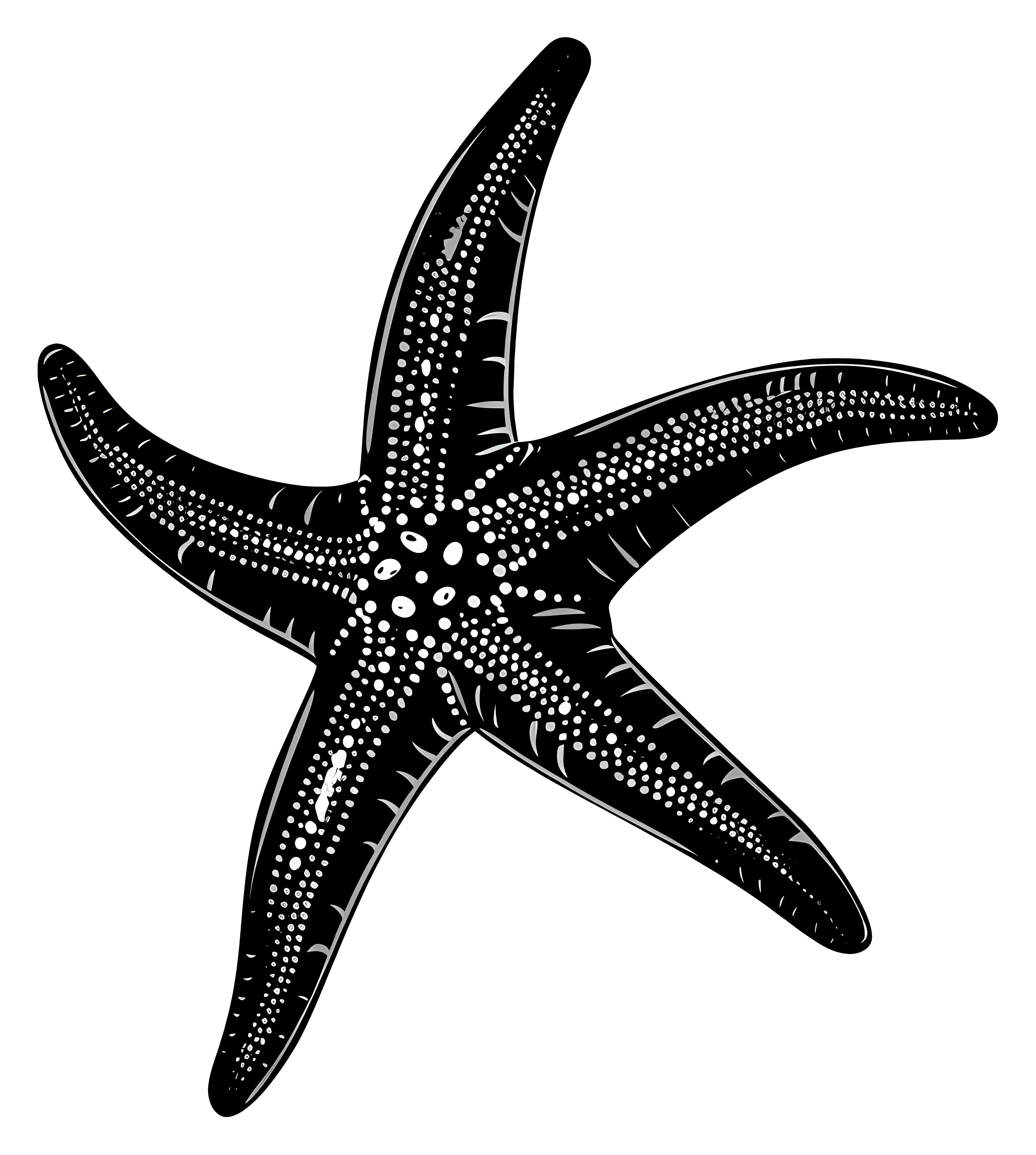 Black Silhouette Illustration of a Starfish