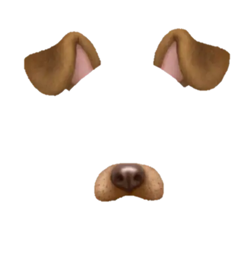 Dog Nose and Ears Emoji Filter Design