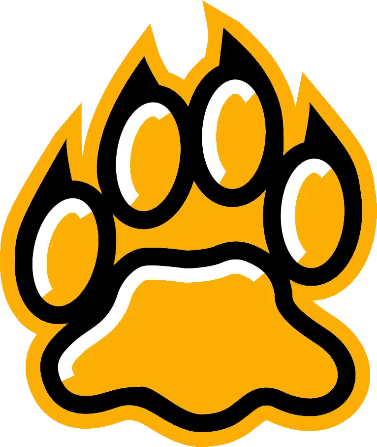 Bear Paw Print Illustration