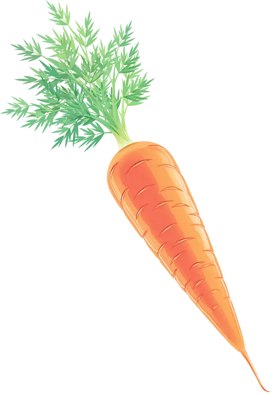 Fresh Orange Carrot with Green Leaves