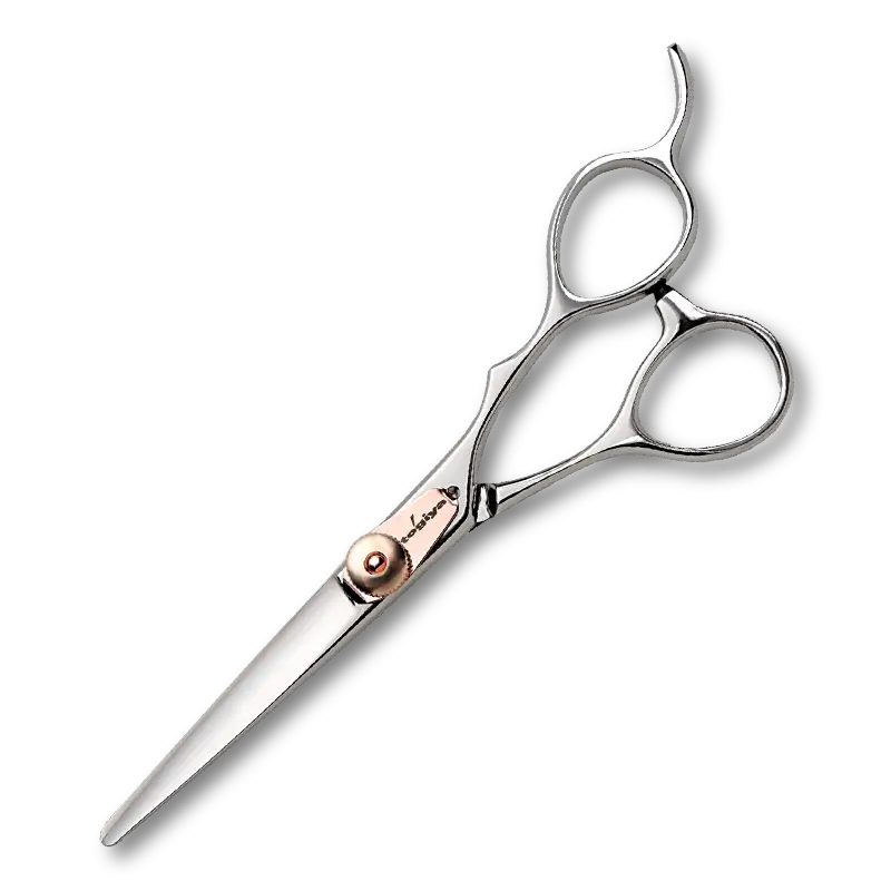Professional Hairdressing Scissors