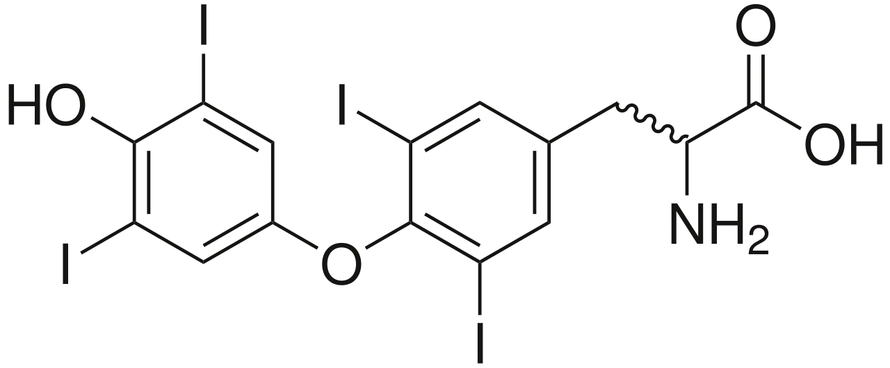 Chemical Structure Diagram for Education and Research