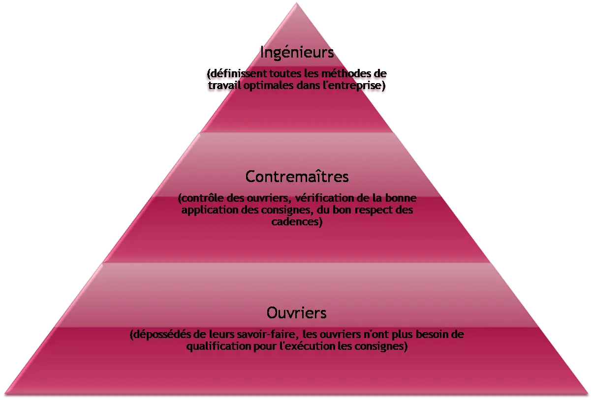 Work Hierarchy Pyramid Structure