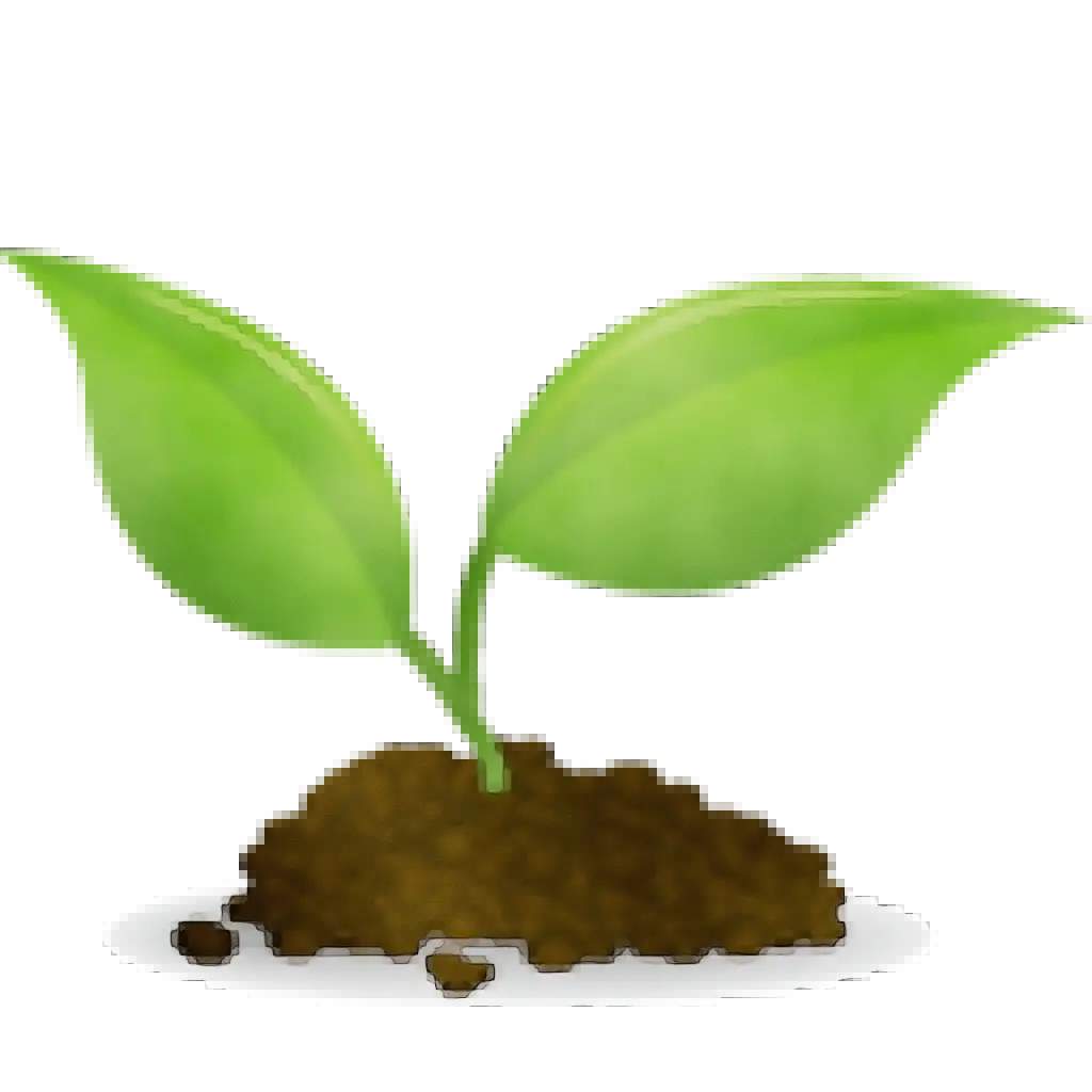 Green Sprout Growing in Soil