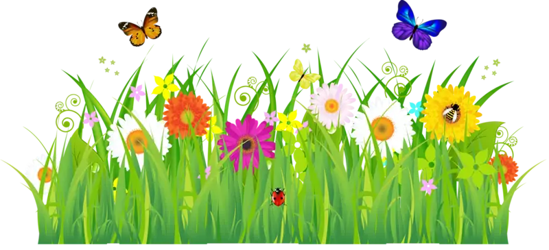 Flower Garden with Butterflies and Green Grass