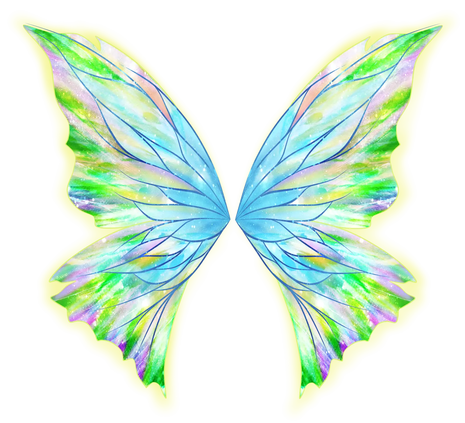 Colorful Butterfly Wings Insect