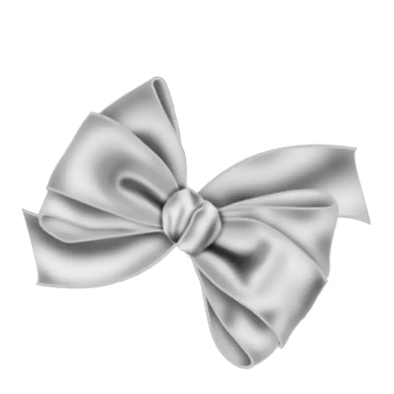 Elegant Silver Bow