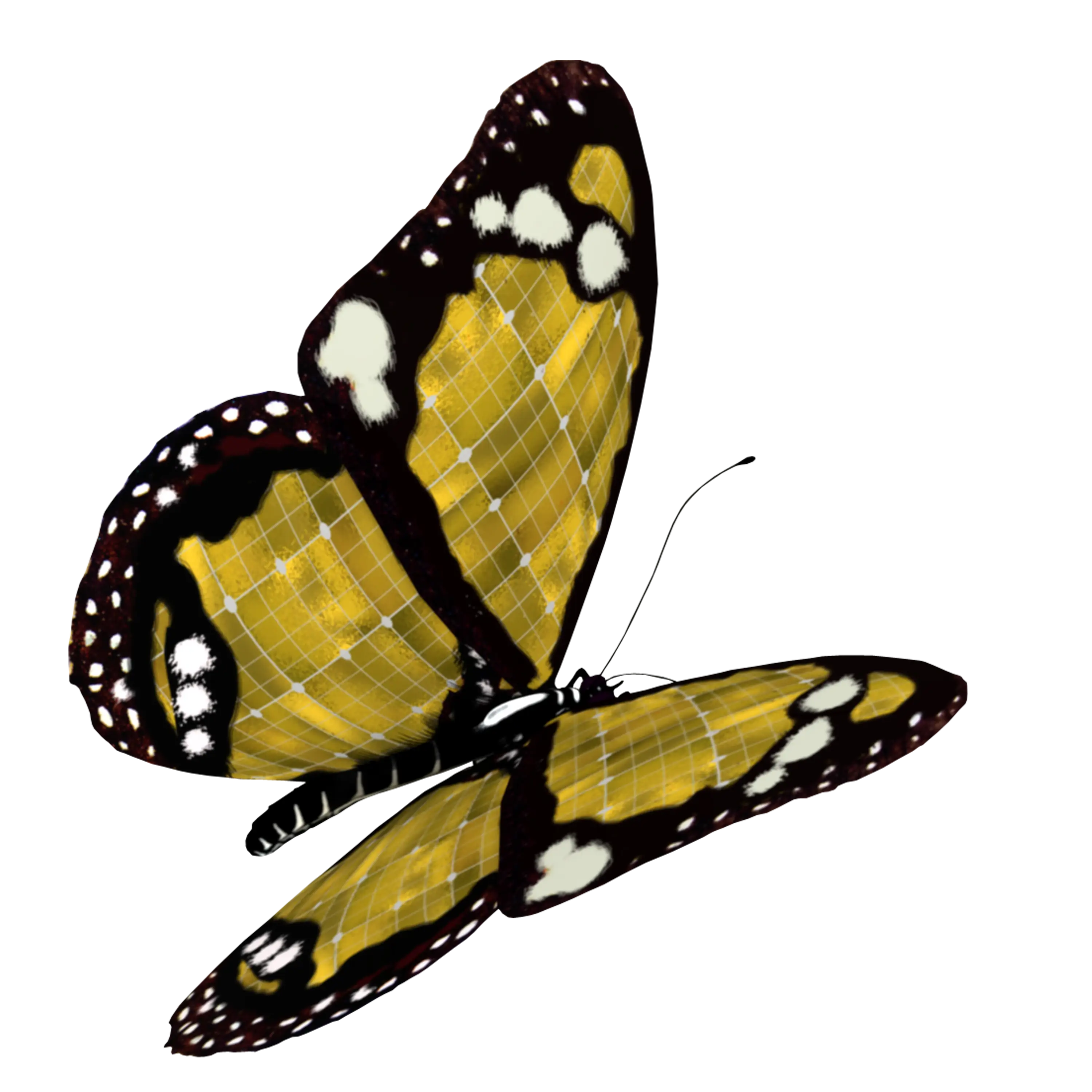 Yellow Monarch Butterfly Illustration