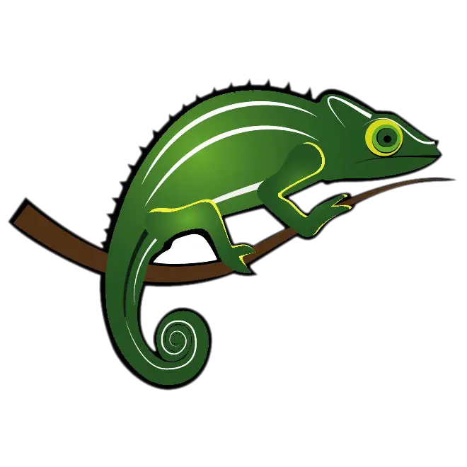 Green Chameleon On a Branch