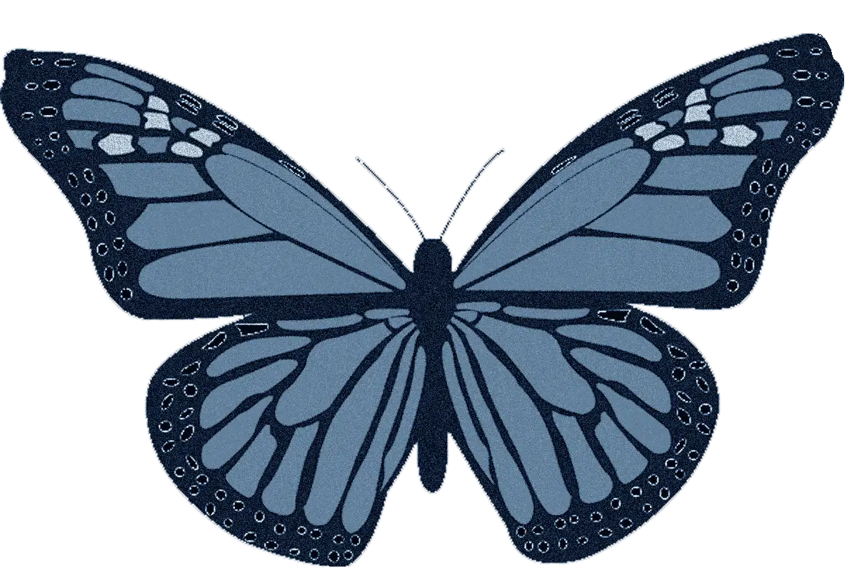 Beautiful Blue Patterned Butterfly