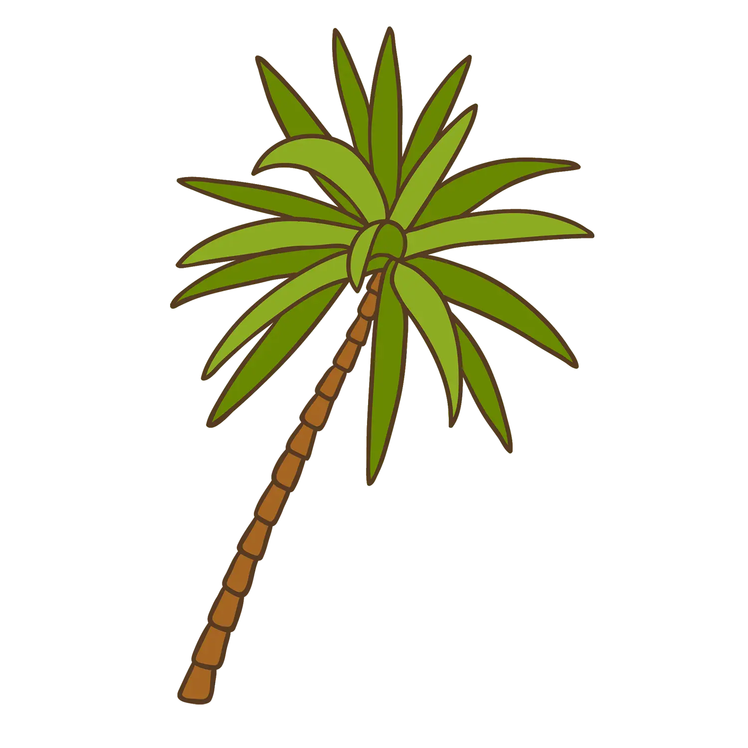 Cartoon Palm Tree Illustration