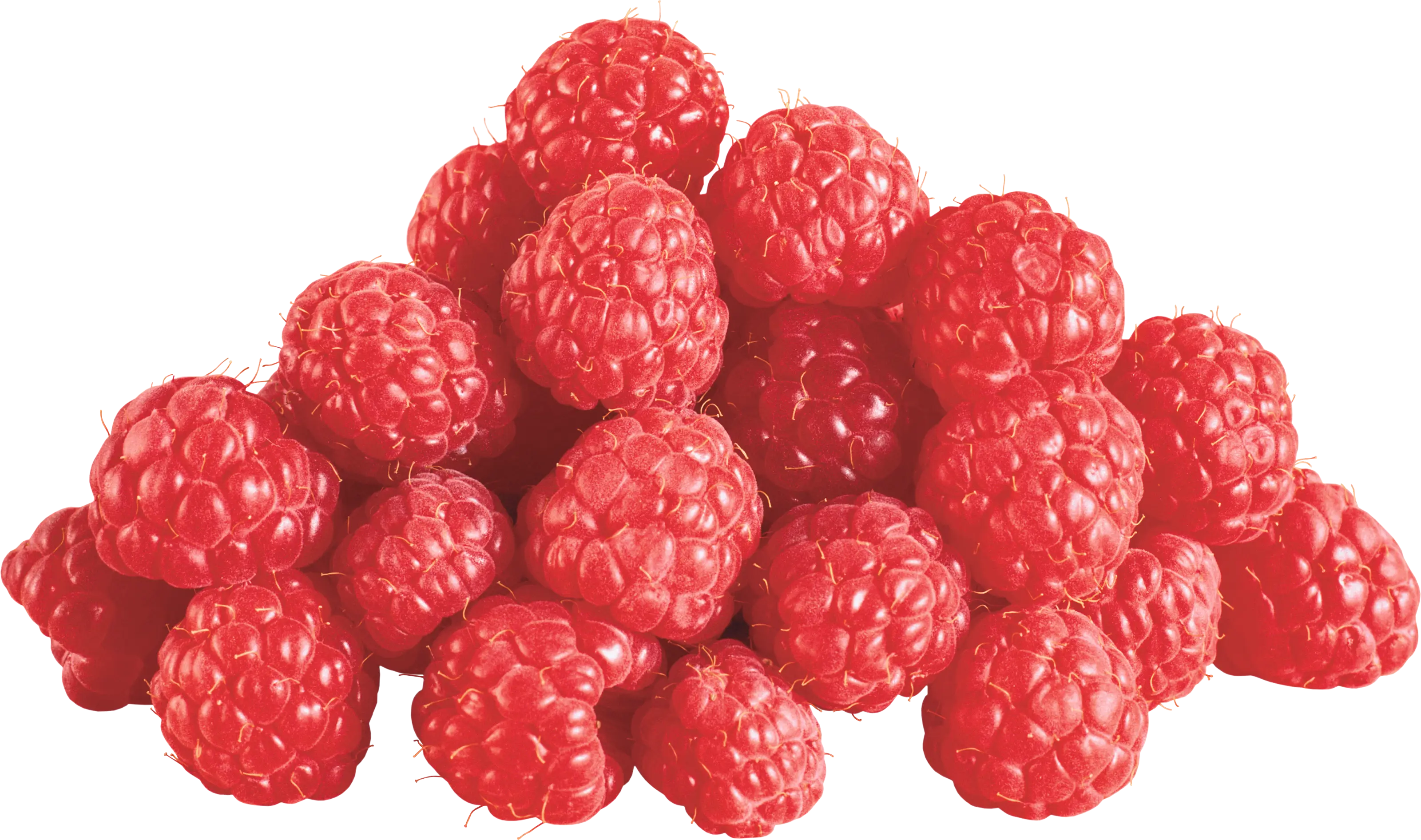 Pile of Fresh Red Raspberries for Healthy Eating