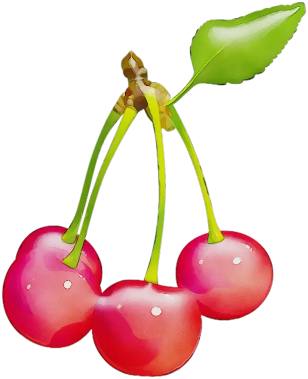 Juicy Cherries with Stem and Leaf