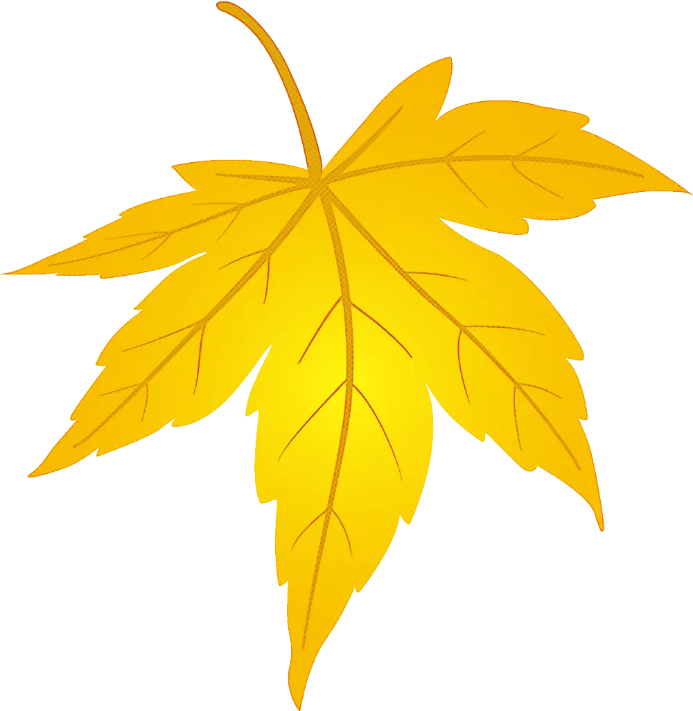 Yellow Maple Leaf for Autumn Design