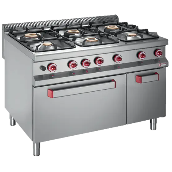 Stainless Steel Gas Stove with Multiple Burners