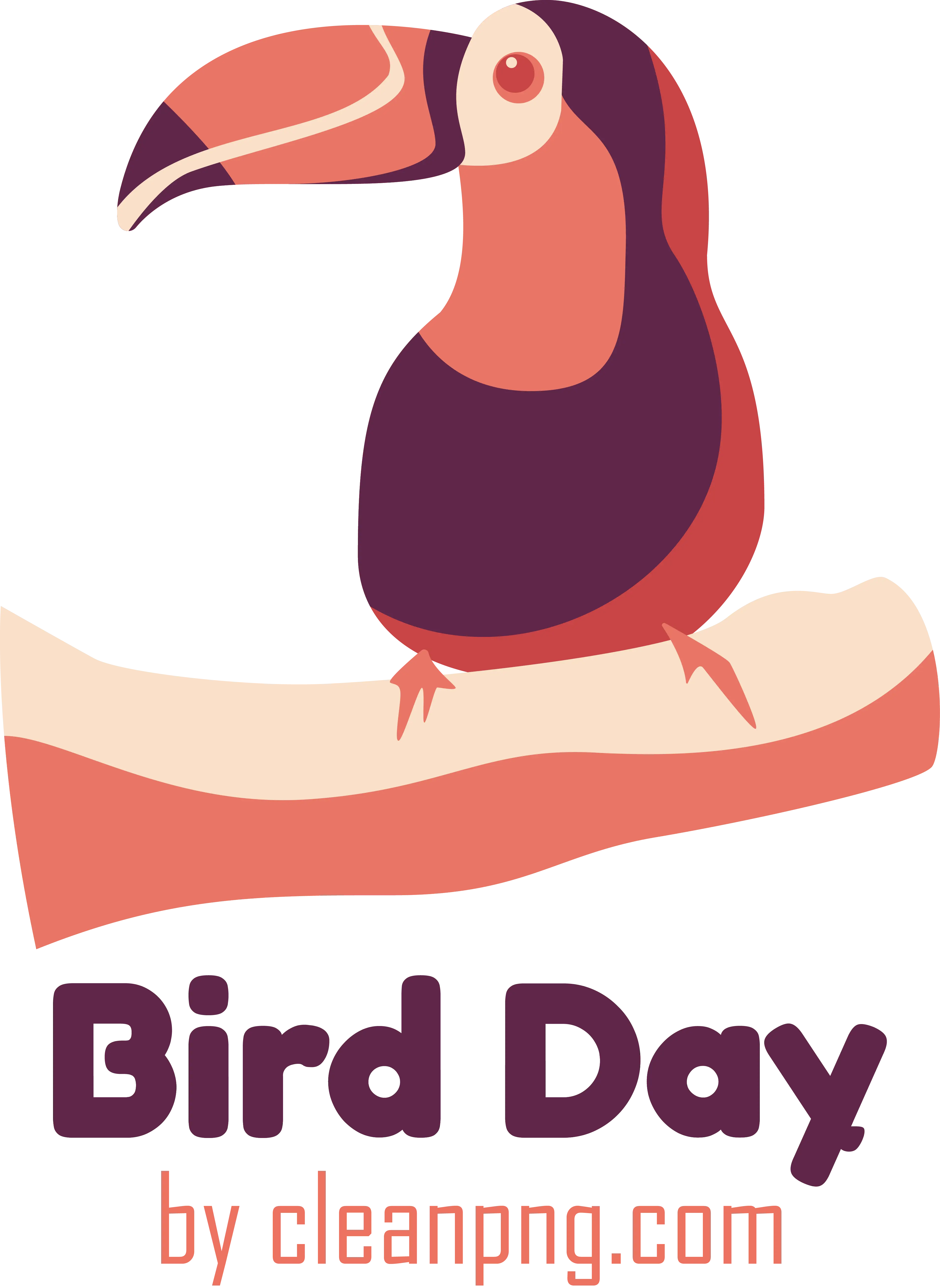Colorful Toucan on a Branch for Bird Day